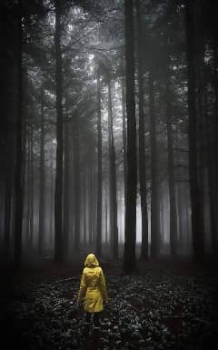 Le paradis bordel